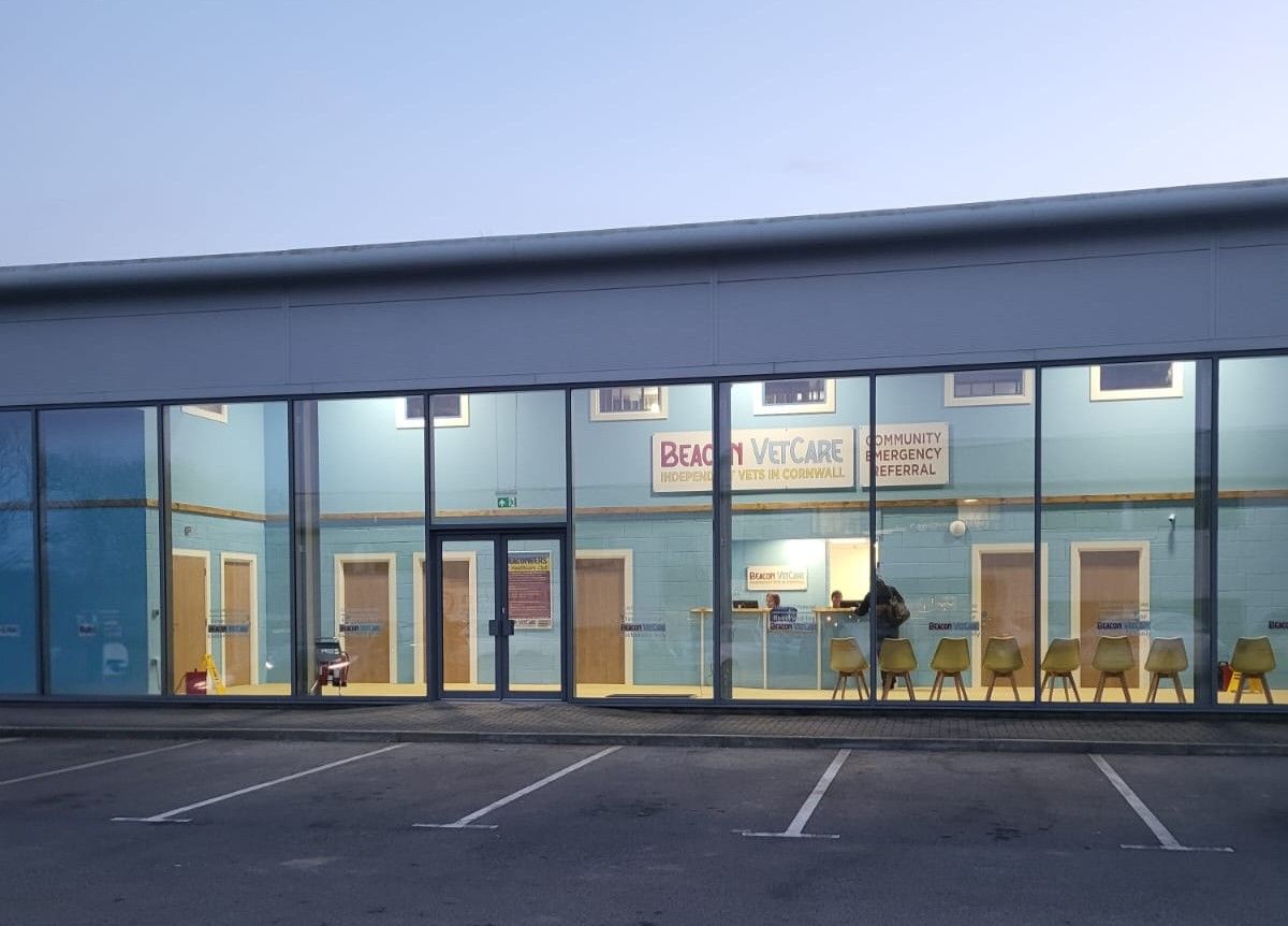 IMG-20240222-WA0173(1)